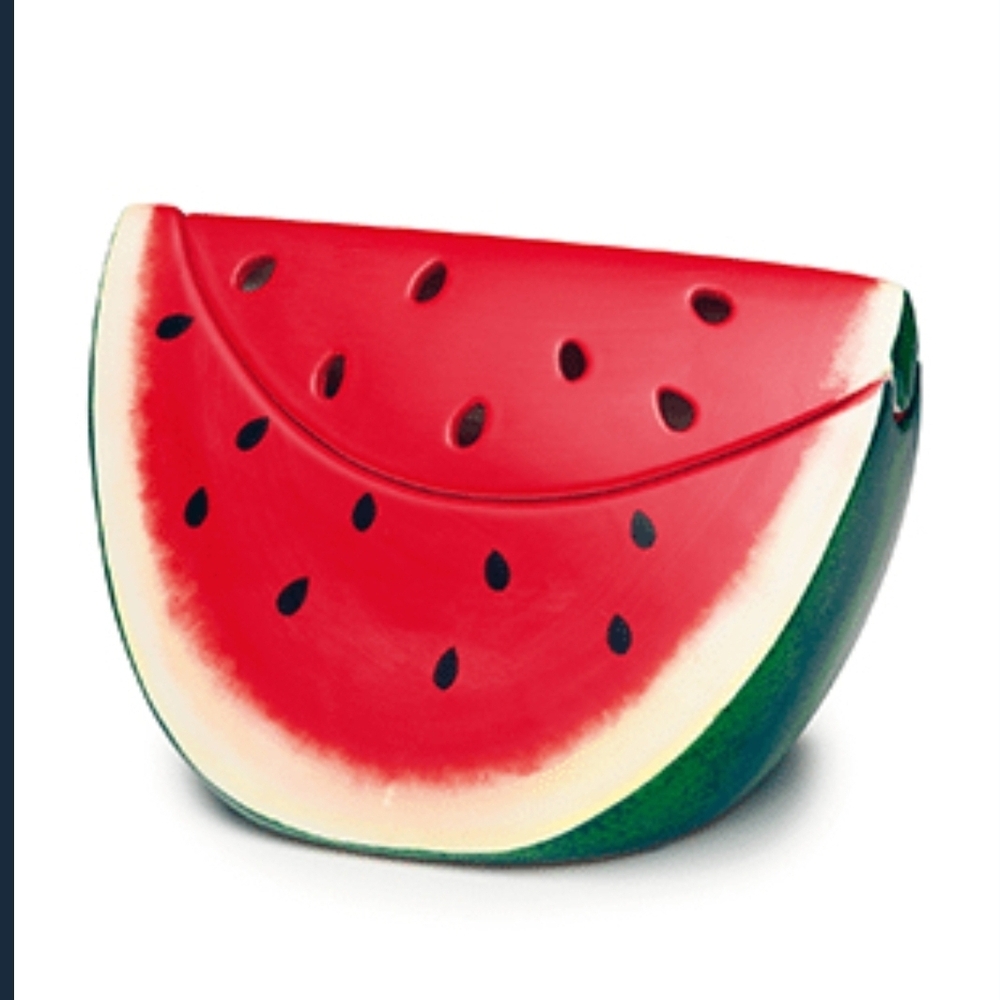 Scentsy Watermelon Box with Pink and Green Floral Design